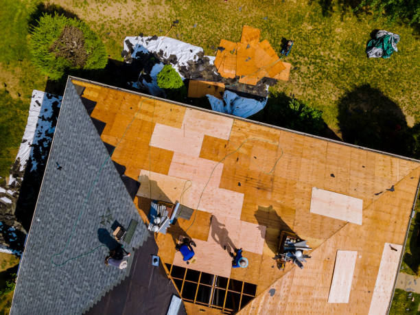 Best Roof Gutter Cleaning  in Spring Lake, NC
